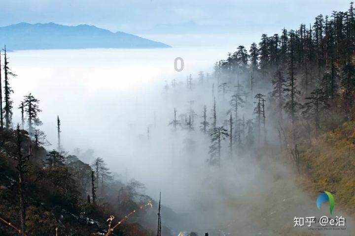 小猫钓鱼开船版最新版下载