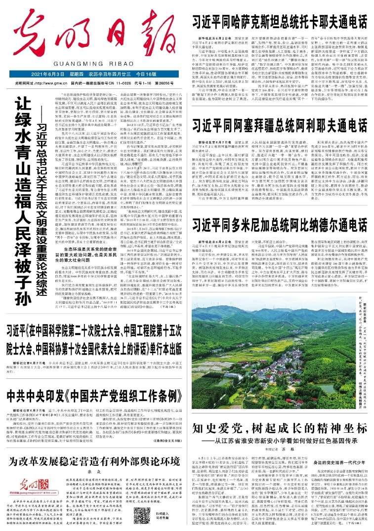 创作猫